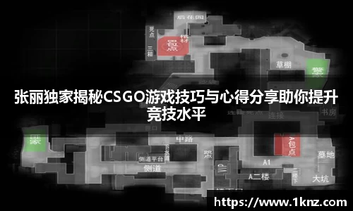 张丽独家揭秘CSGO游戏技巧与心得分享助你提升竞技水平