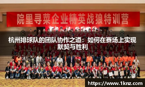 杭州排球队的团队协作之道：如何在赛场上实现默契与胜利